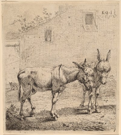 Dos burros de Karel Dujardin