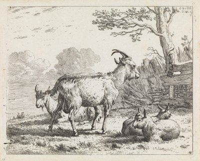  de Karel Dujardin