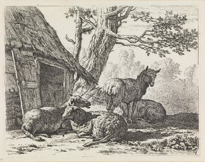  de Karel Dujardin