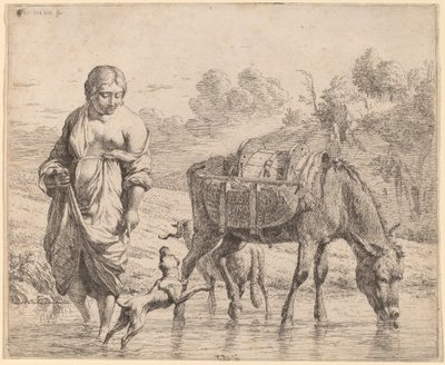 Mujer cruzando un arroyo de Karel Dujardin