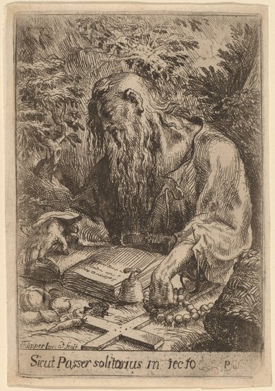 Un santo ermitaño de Karel Frantisek Töpper
