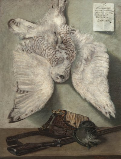 Búho Nival de Karel Purkyne