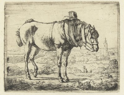 Caballo enjaezado como caballo de batalla de Karel du Jardin (possibly)
