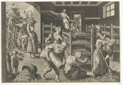 Recolección de hojas de morera y alimentación de los gusanos de seda Introducción del gusano de seda y la producción de seda en Europa (título de la serie) Vermis Sericus (título de la serie sobre el objeto) de Karel van Mallery
