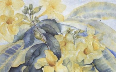 Alamanda o campanas amarillas de Karen Armitage