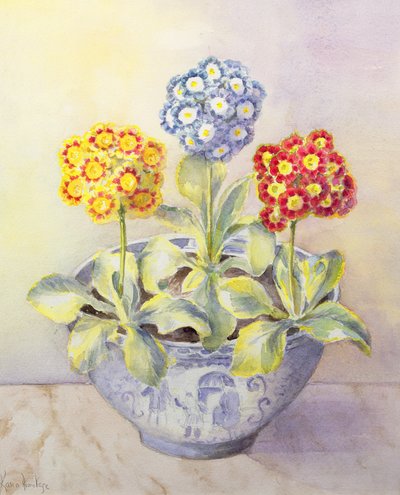 Aurícula en una maceta china de Karen Armitage