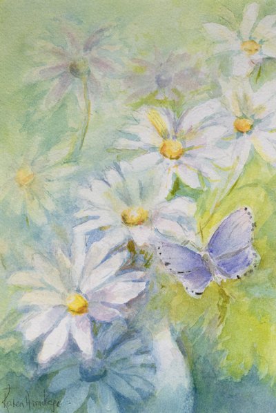 Azul Común (Polyommetus Icarus) sobre margaritas de Karen Armitage