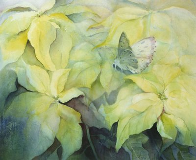 Poinsettia crema con mariposa de Karen Armitage