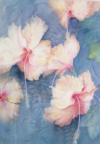 Hibisco, albaricoque de Karen Armitage