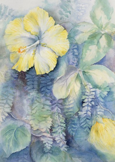 Hibisco, amarillo de Karen Armitage