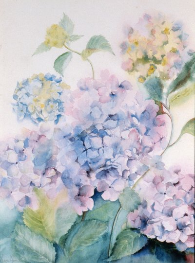 Hortensia, Ola Azul I de Karen Armitage