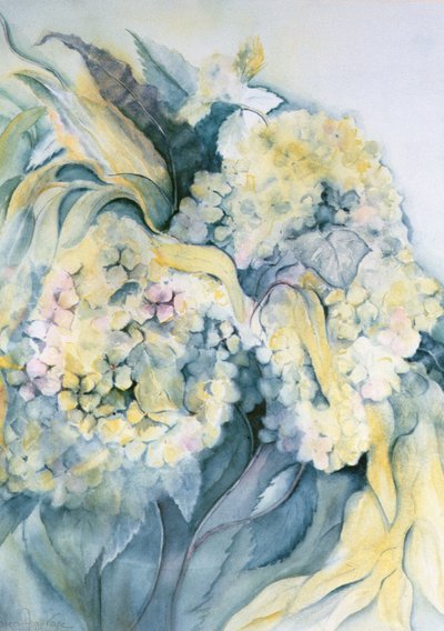 Hortensia Particulata de Karen Armitage
