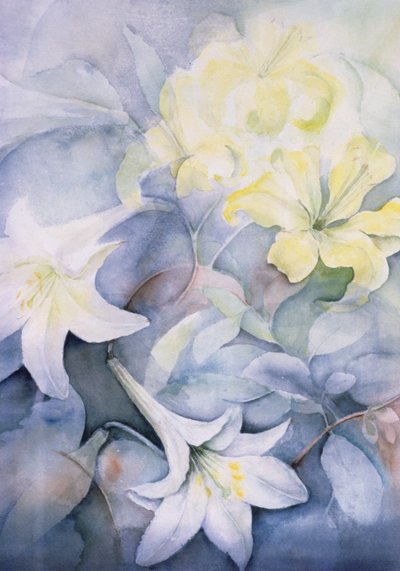 Lilium, Hearts Desire e Imperiale de Karen Armitage
