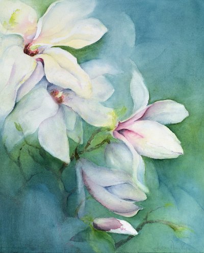 Magnolia Dedudata de Karen Armitage