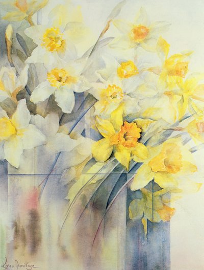 Mezcla de narcisos en un tanque de Karen Armitage