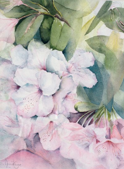 Magia de la mañana de Karen Armitage