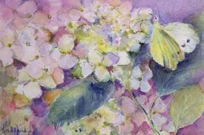 Mariposa amarilla pálida, Colias Hyale en hortensia de Karen Armitage