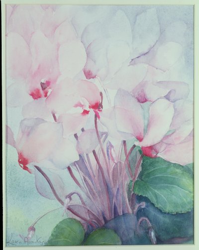 Ciclamen rosa, Victoria de Karen Armitage