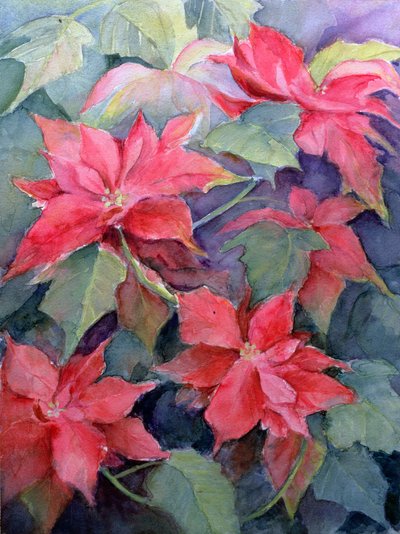 Poinsettia de Karen Armitage