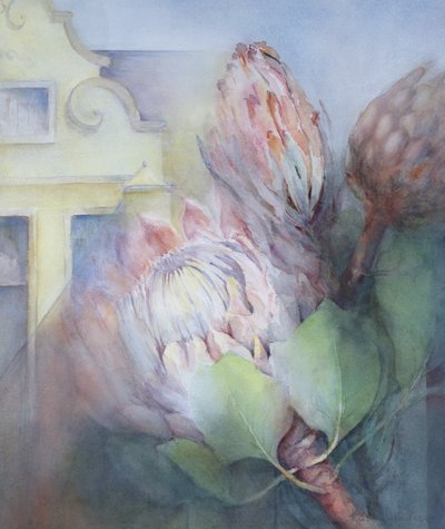 Protea en Stellenbosch, 1992 de Karen Armitage