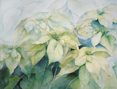 Poinsettia blanca (horizontal) de Karen Armitage