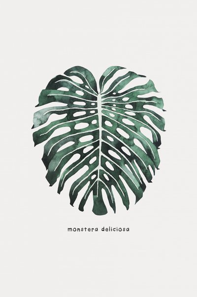 Hoja de monstera en acuarela de Karen Menzenbach