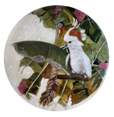 Cacatúa blanca en la selva de Karenina Fabrizzi