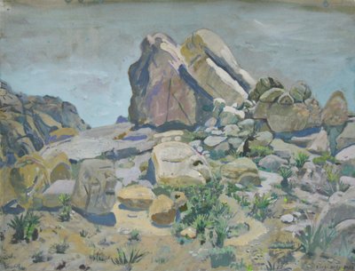 Formaciones rocosas del desierto de Karin Bos