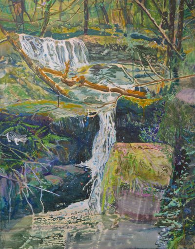 Cascada en el bosque con un gato de Karin Bos