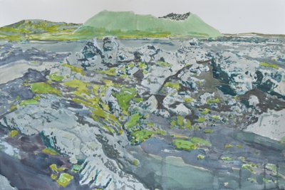 Paisaje volcánico cubierto de musgo de Karin Bos