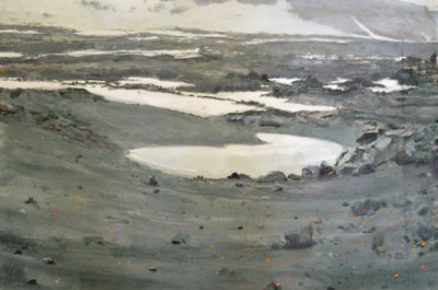 Paisaje de la tundra desolada de Karin Bos