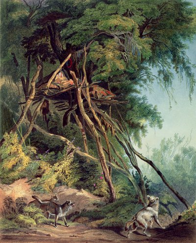 Tombs of Assiniboin Indians on Trees, lámina 30 del volumen 2 de `Travels in the Interior of North America de Karl (after) Bodmer