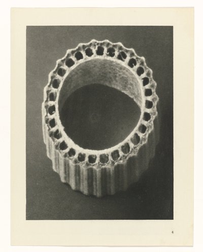 Estudios de plantas Arquetipos del arte: imágenes fotográficas de plantas (título de la serie) de Karl Blossfeldt