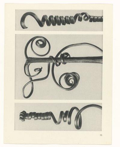 estudio de planos Arquetipos del arte (título de la serie) de Karl Blossfeldt