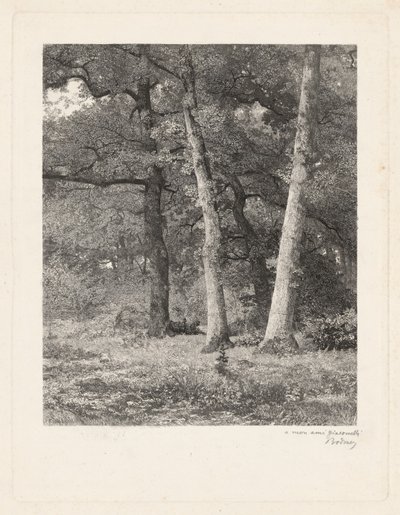 Un claro en el bosque de Karl Bodmer