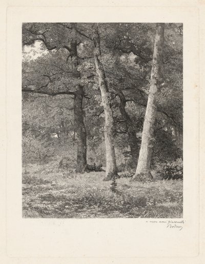  de Karl Bodmer