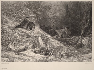  de Karl Bodmer