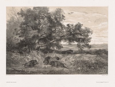 Animales y paisaje según la naturaleza: Jabalí en un estanque, c. 1850 de Karl Bodmer