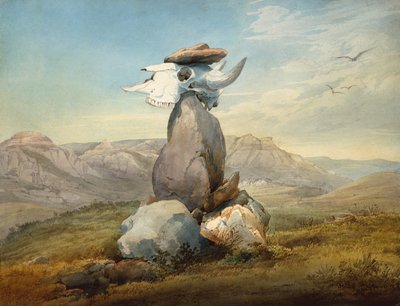 Signo de medicina Assinboin de Karl Bodmer