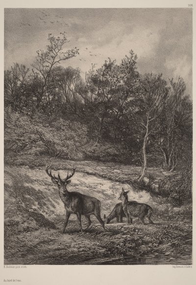 A orillas del agua de Karl Bodmer
