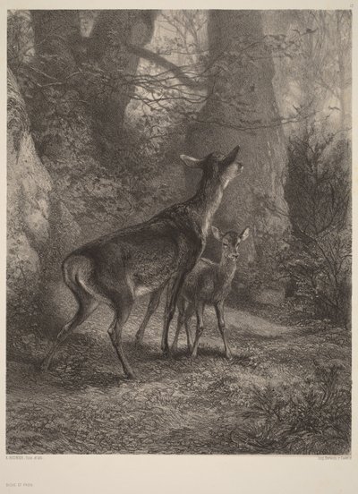  de Karl Bodmer