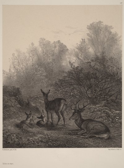 Ciervas en reposo de Karl Bodmer
