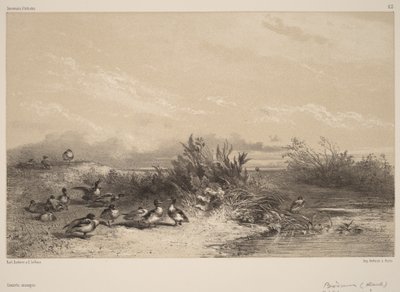  de Karl Bodmer