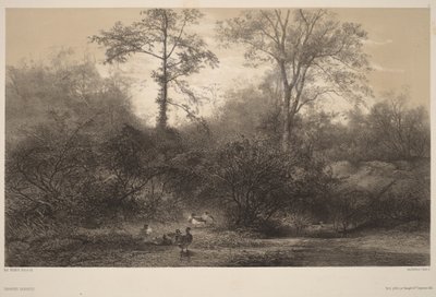  de Karl Bodmer