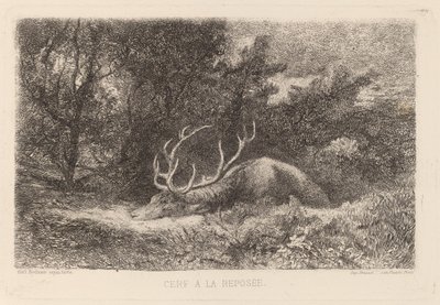 Ciervo en Reposo de Karl Bodmer