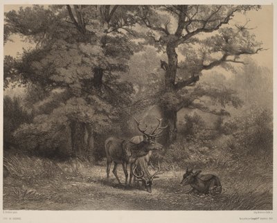 Ciervos pastando de Karl Bodmer
