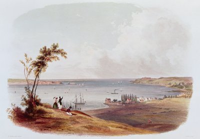 Entrada a la Bahía de Nueva York, Staten Island, grabado por Salathe (litografía en color) de Karl Bodmer