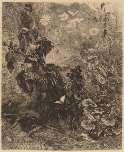 Caracoles y mariposas de Karl Bodmer