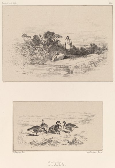 Estudios de Karl Bodmer