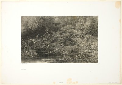 Zorro al acecho de Karl Bodmer